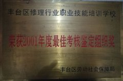 老淫视频免费看